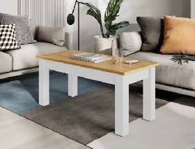 Mesa de centro elevable 904